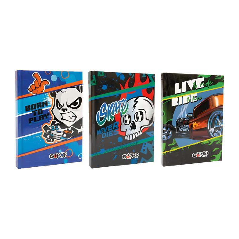 Gopop 23 Diario assortiti Boy