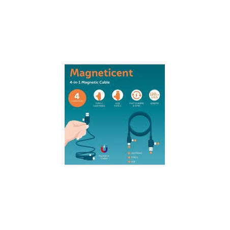 Cavo Magnetico 4 In 1 Ricarica - Magneticent - Petrol