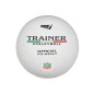 Pallone Volley Trainer