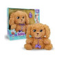 Baby Paws Love & Care Labradoodle