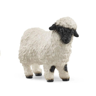 Blacknose Sheep