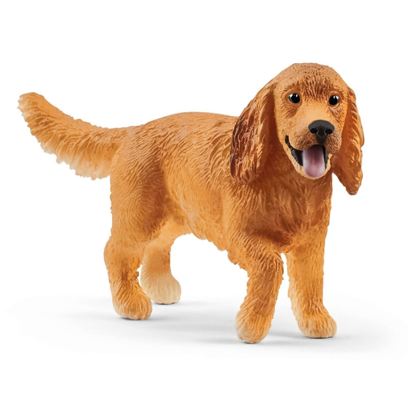 Cocker Spaniel