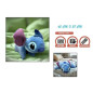 Stitch Boy Plush Pillow 2 In 1