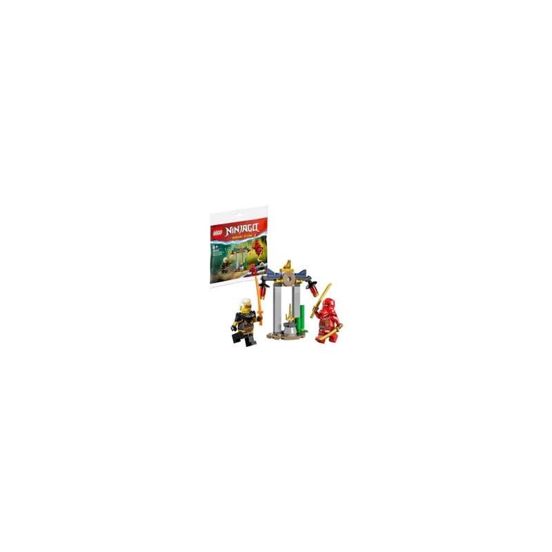 Lego Ninjago Battaglia Nel Tempio