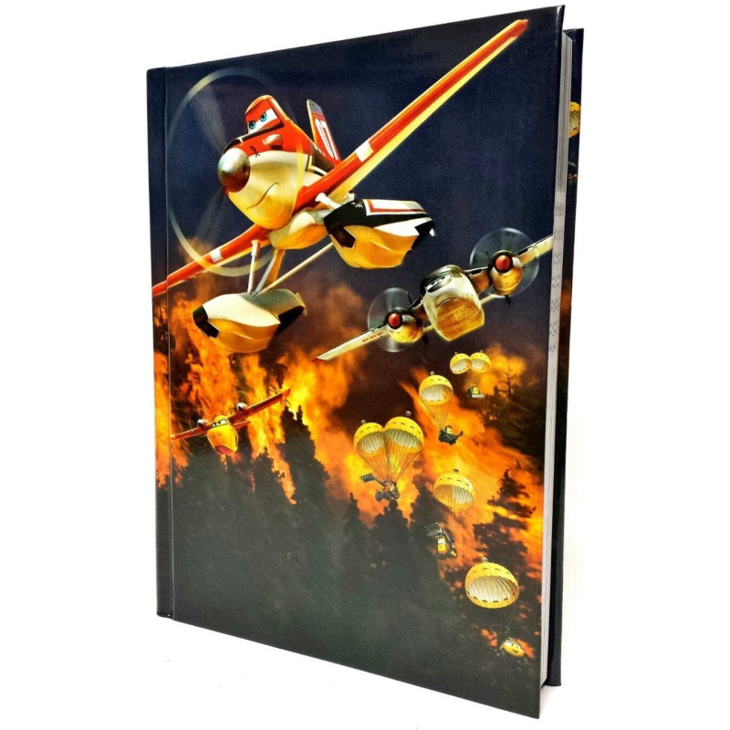 Plan Diario Standard 12 Mesi