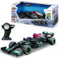 Rc Premium F1 - Mercedes 2021