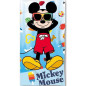 Mickey Telo Mare