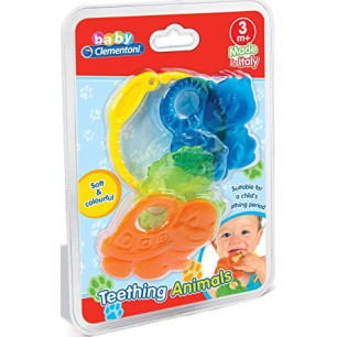 Animali Del Bosco Dentizione