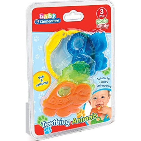 Animali Del Bosco Dentizione