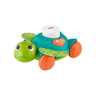 Baby Tartaruga Gattona Con Me