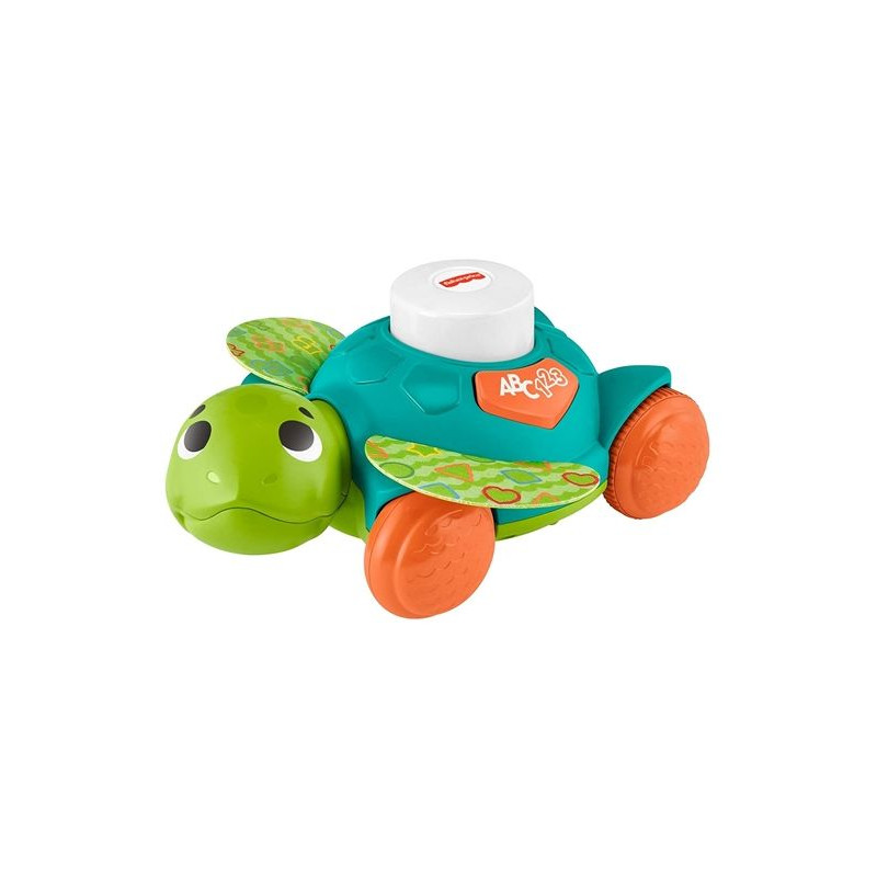 Baby Tartaruga Gattona Con Me