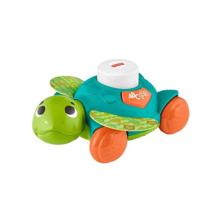 Baby Tartaruga Gattona Con Me