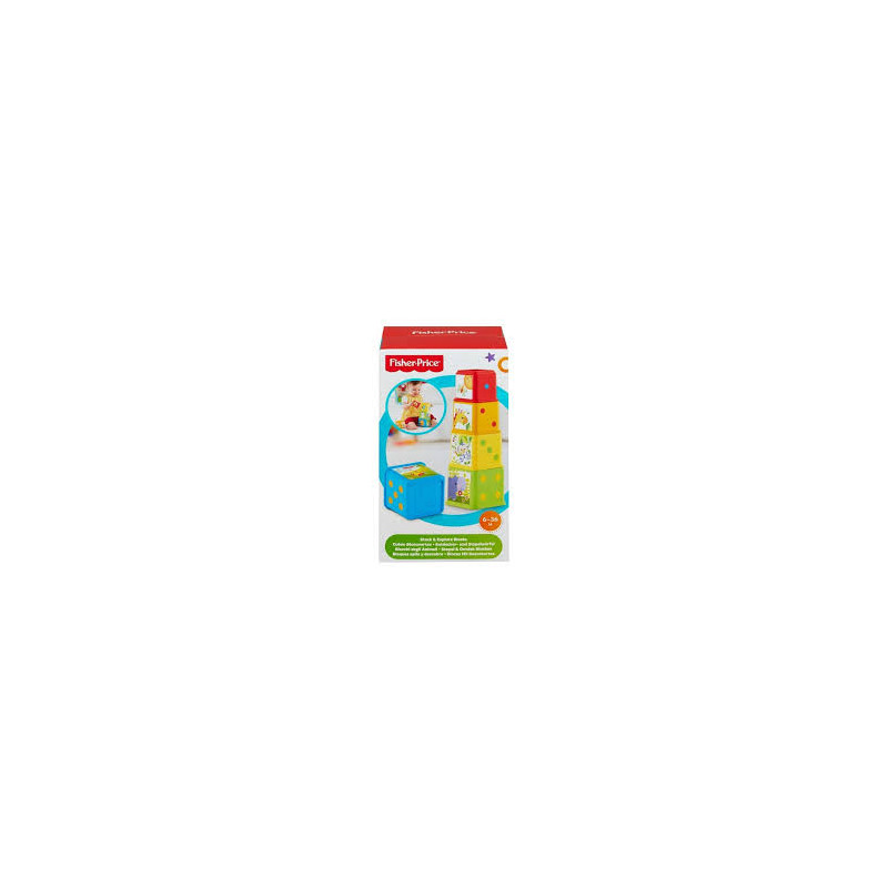 Fisher Price Blocchi Costruzioni