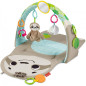 Fisher Price Luiaard Activity Center