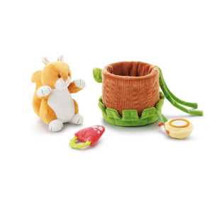 Scoiattolo Attività