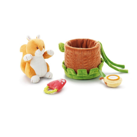 Scoiattolo Attività