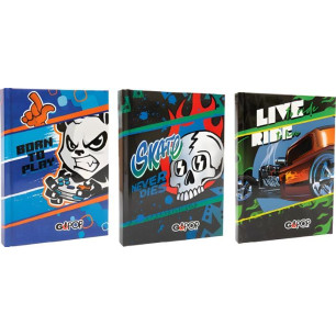 Gopop 23 Diario Ass Boy