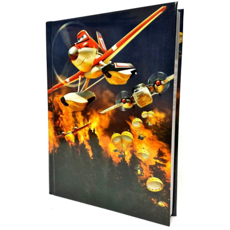 Plan Diario Standard 12 Mesi