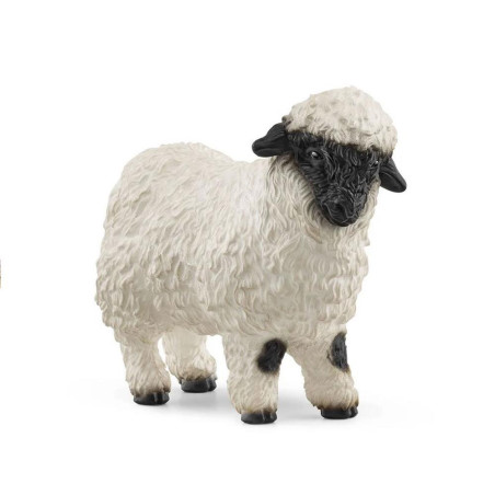 Blacknose Sheep