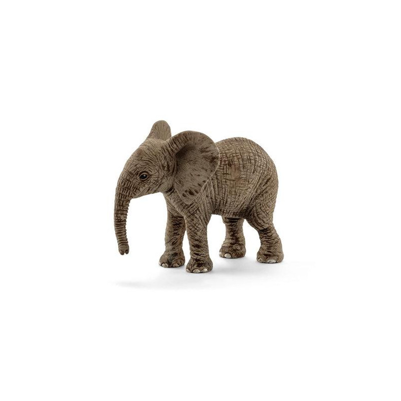 Cucciolo di elefante africano