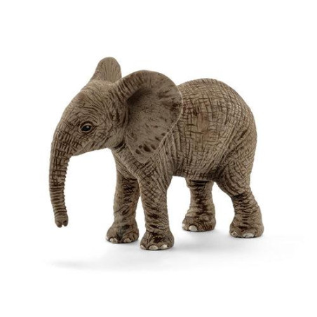 Cucciolo di elefante africano