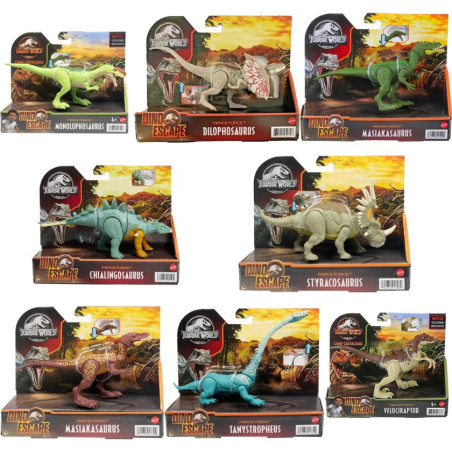 Jwdino Forza Bruta Ass.