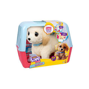 Little Live Pets Ouchies Labrador