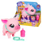 My Pets Piggly