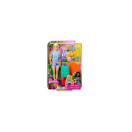 Barbie Doll And Accessories