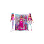 Barbie Dreamtopia Doll And  Accessories