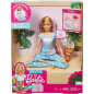 Barbie Meditation Doll Playset