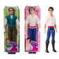 Disney Princess Flynn Rider Doll