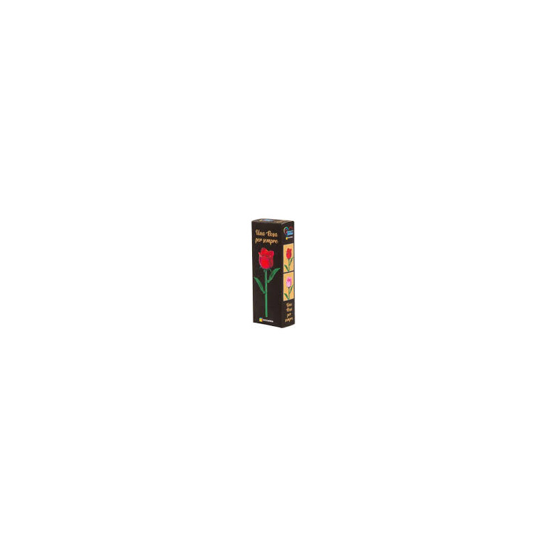 Aa Rose Building Set