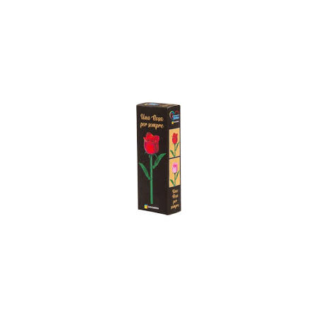 Aa Rose Building Set