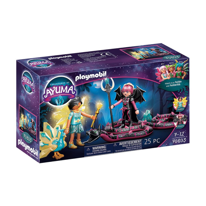 Crystal Fairy E Bat Fairy Con I Compagni