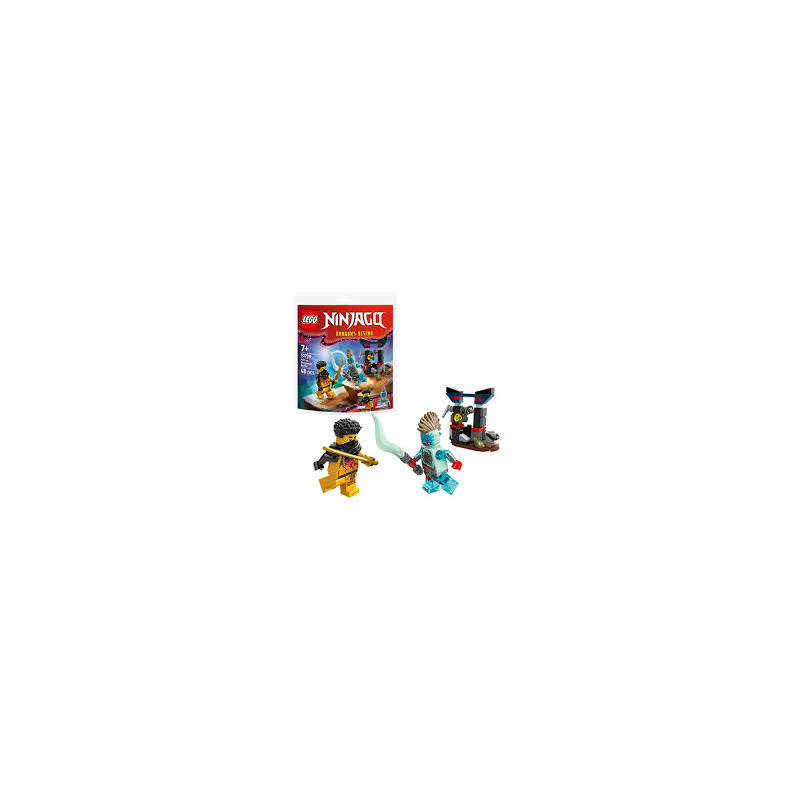 Lego Ninjago Battaglia Di Arin