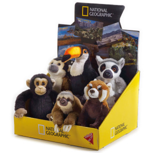 Baby Foresta Tropicale