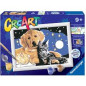 Creart cane e gatto