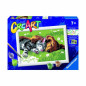 Creart Cane Gatto