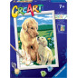 Creart Retriever Sul Prato