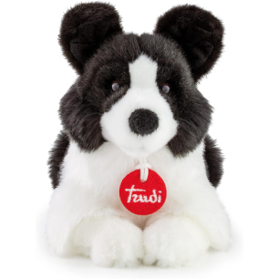 Border Collie Scott Small