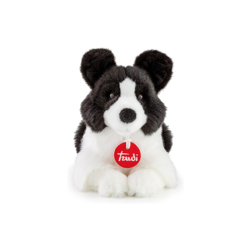 Border Collie Scott Small