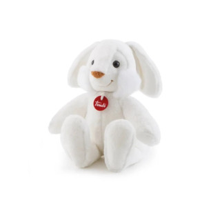 Coccoli Illumina Sogni