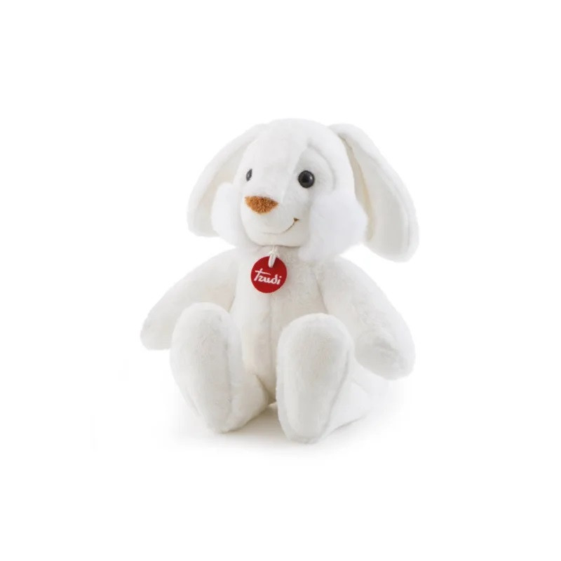 Coccoli Illumina Sogni