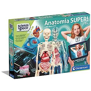 Anatomia