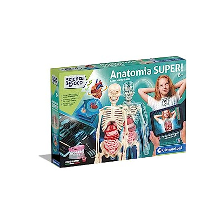 Anatomia