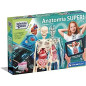 Anatomia