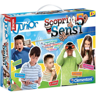 Scopri I 5 Sensi Focus Junior 7+