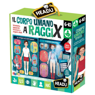 Il Corpo Umano A Raggi X