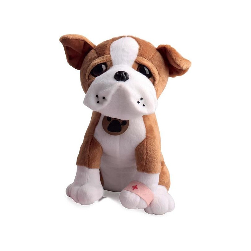 Gp Cucciolove Pet Vet